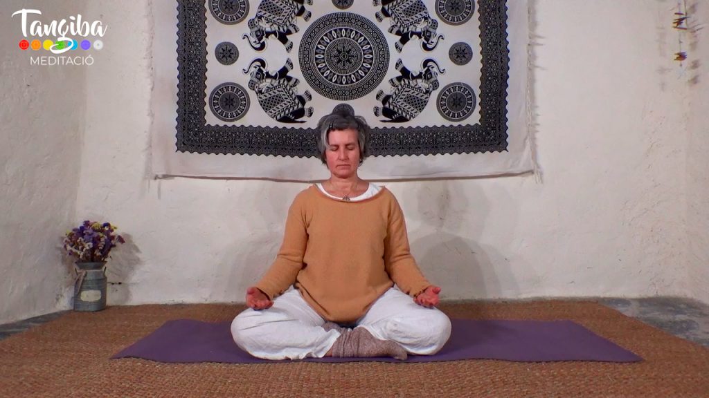 01 - Què passa quan meditem? Primera meditació
